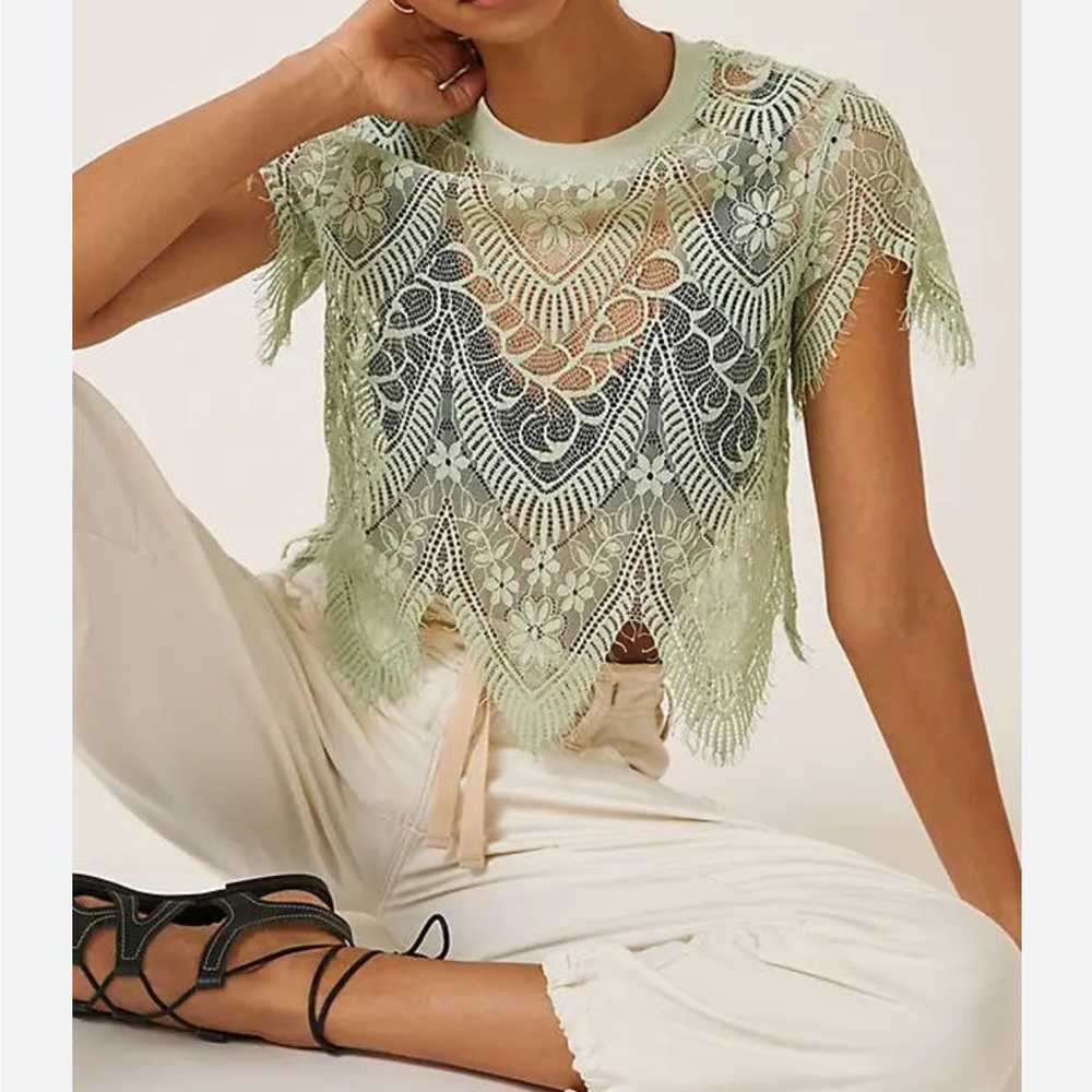 Anthropology Sheer Lacy Top
Bishop + Young